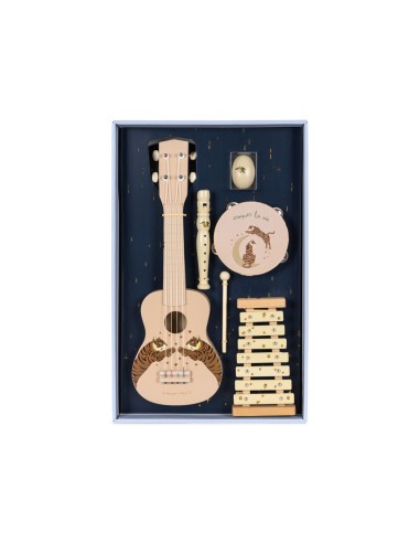 Coffret 3 Instruments de Musique Tigre